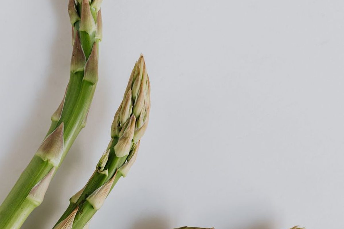 Asparagus