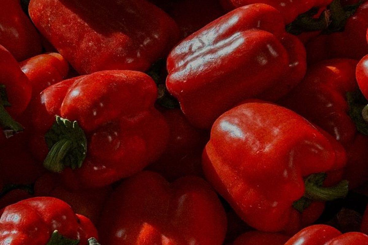 Bell pepper