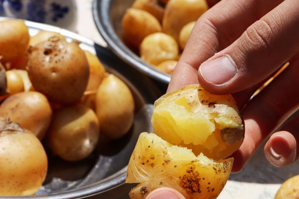 Boiled potato
