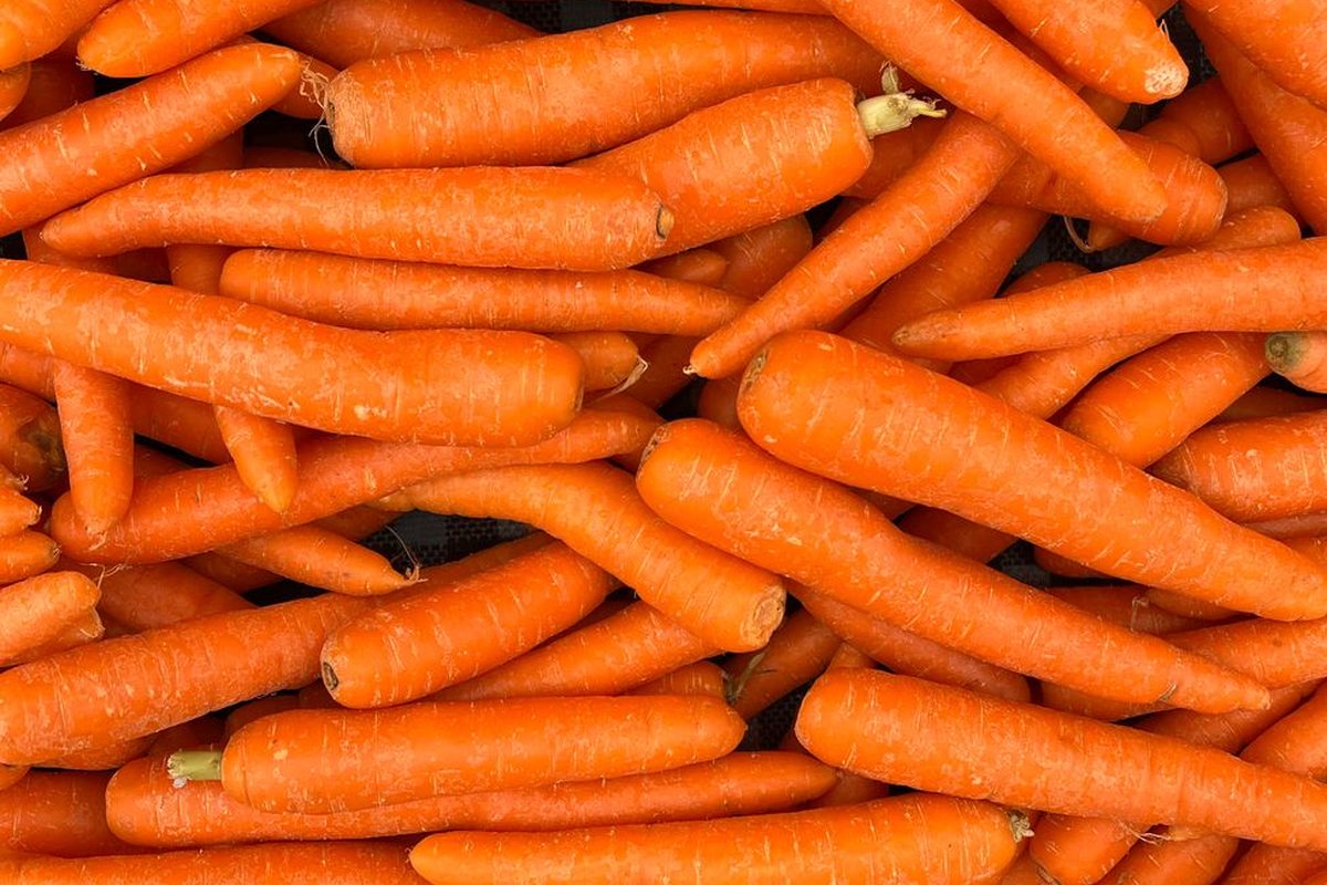 Carrot