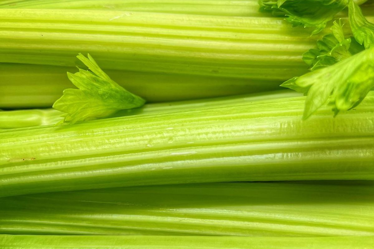 Celery