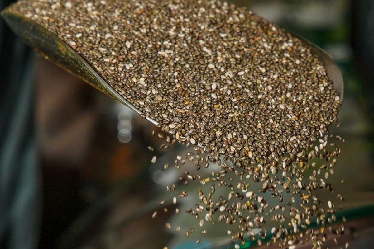 Chia seeds