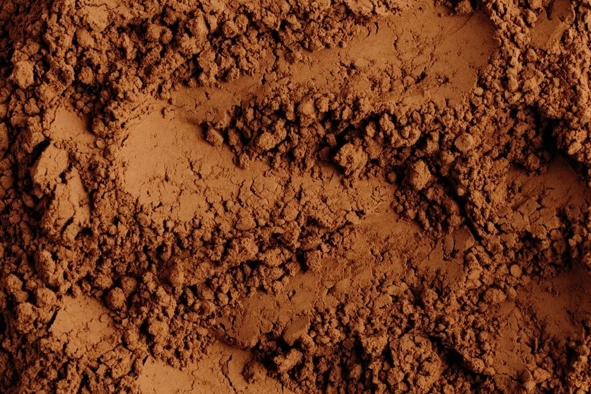 Cocoa powder