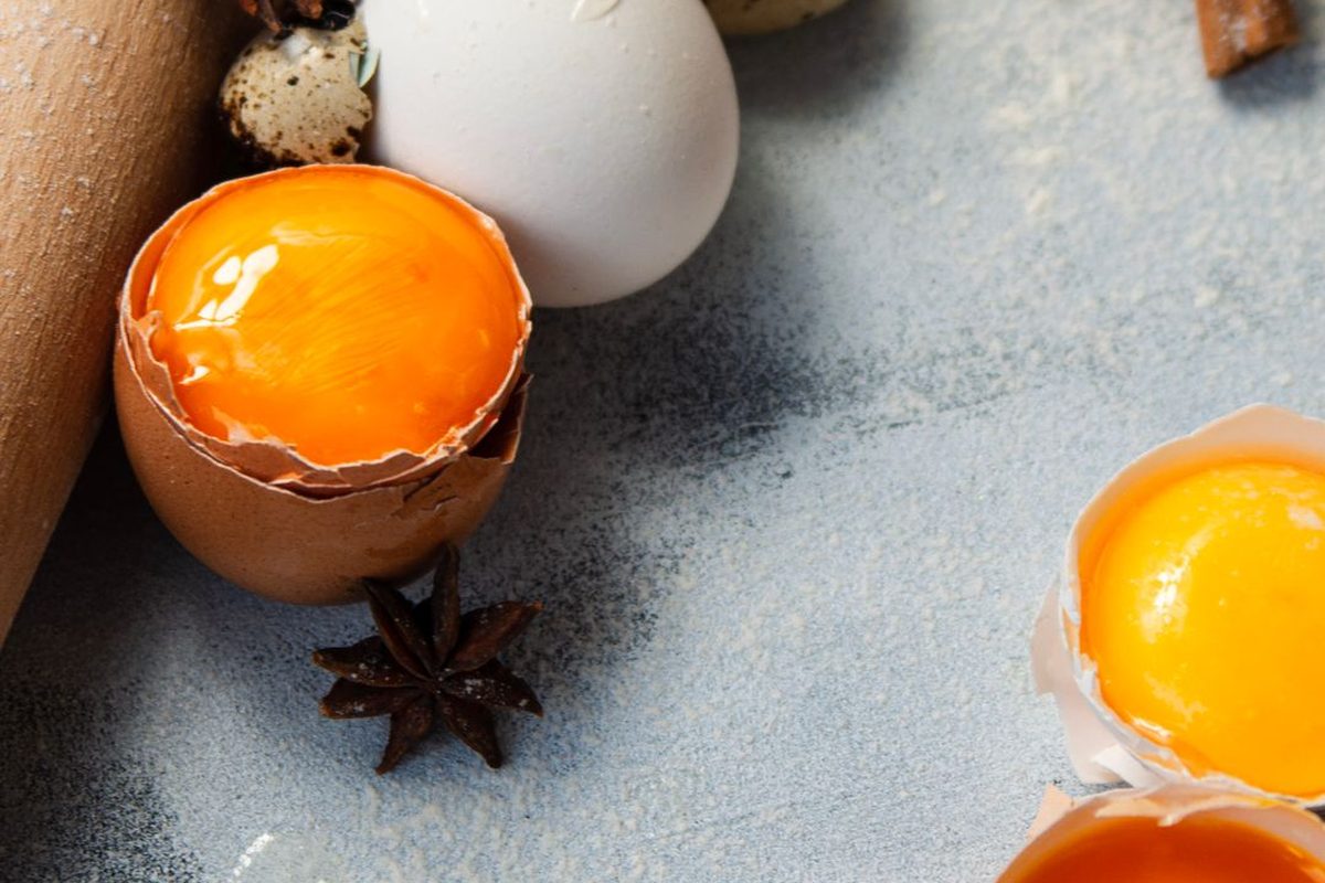 Egg yolk