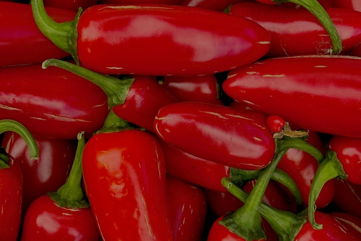 Jalapeno
