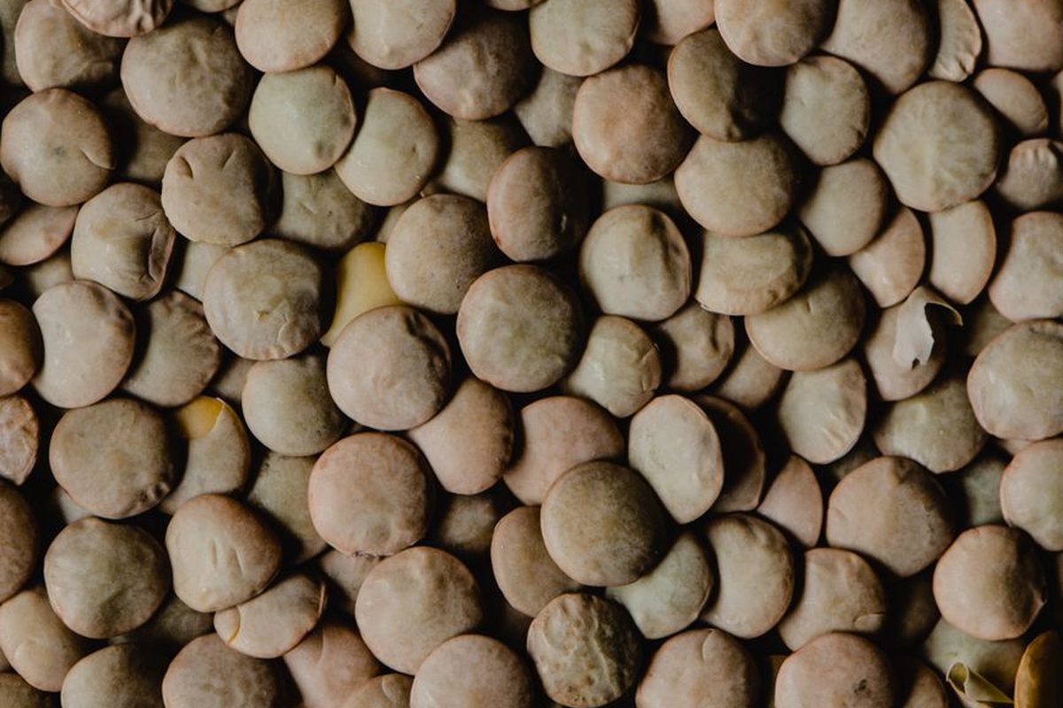 Lentils