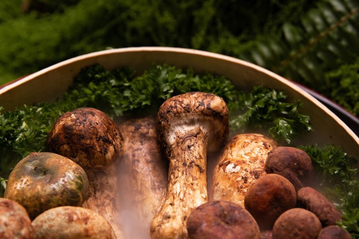 Mushrooms