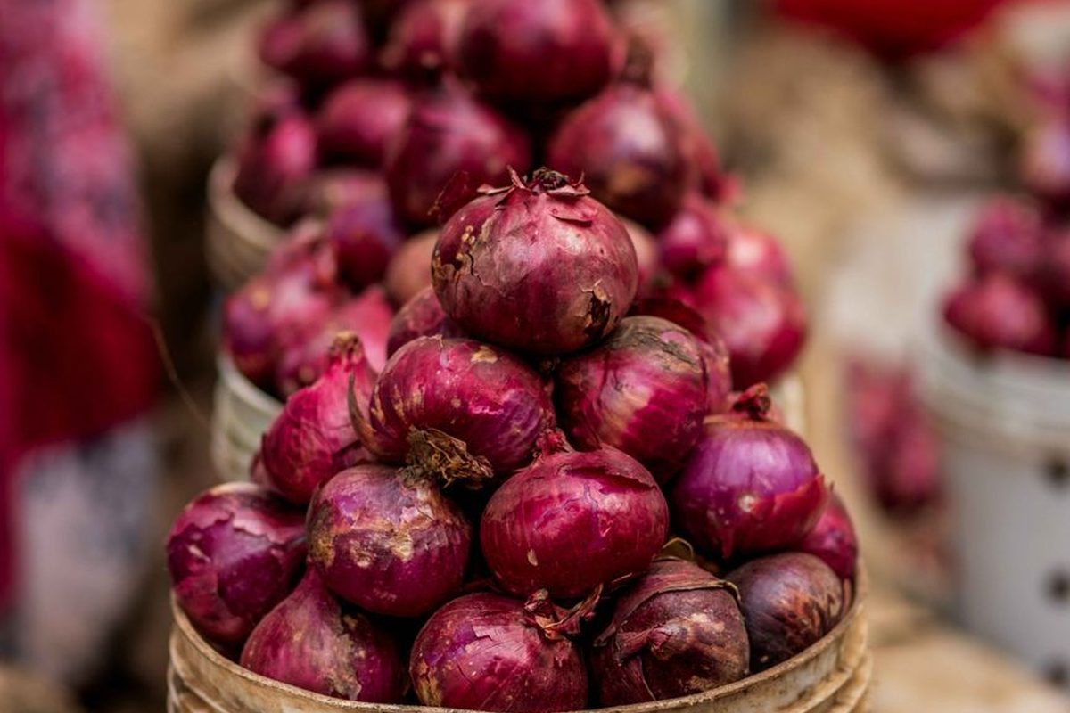Onion