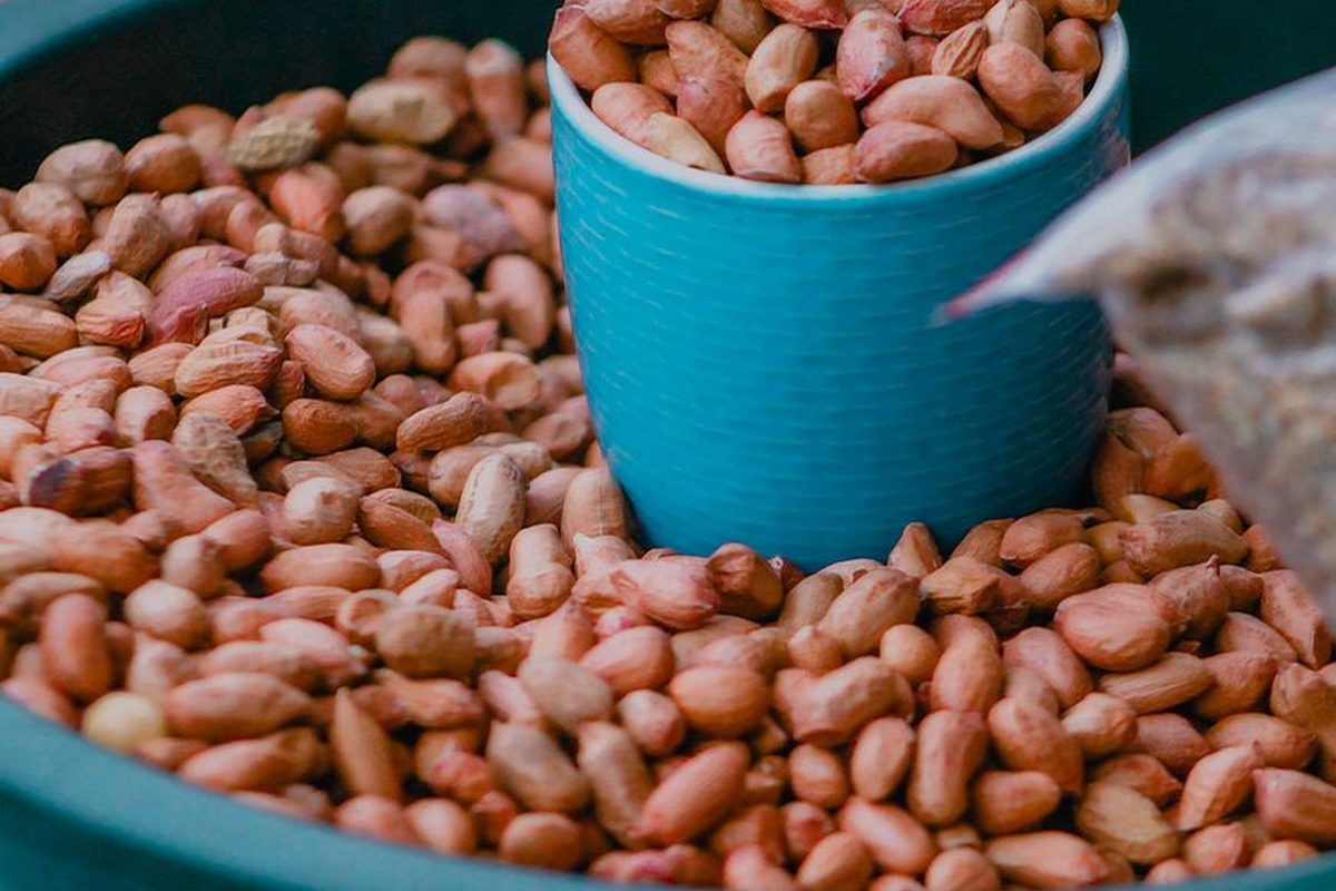 Peanuts