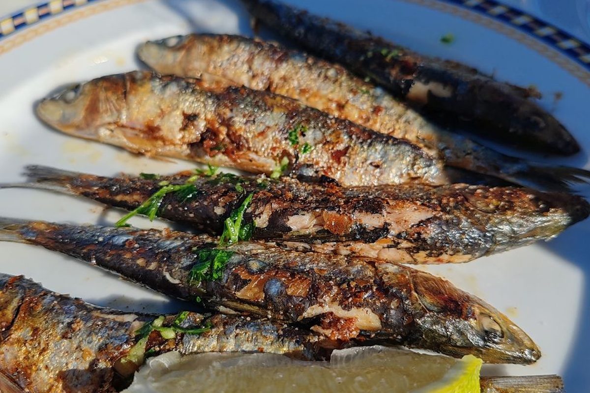 Sardines
