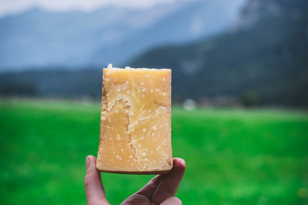 Swiss cheese