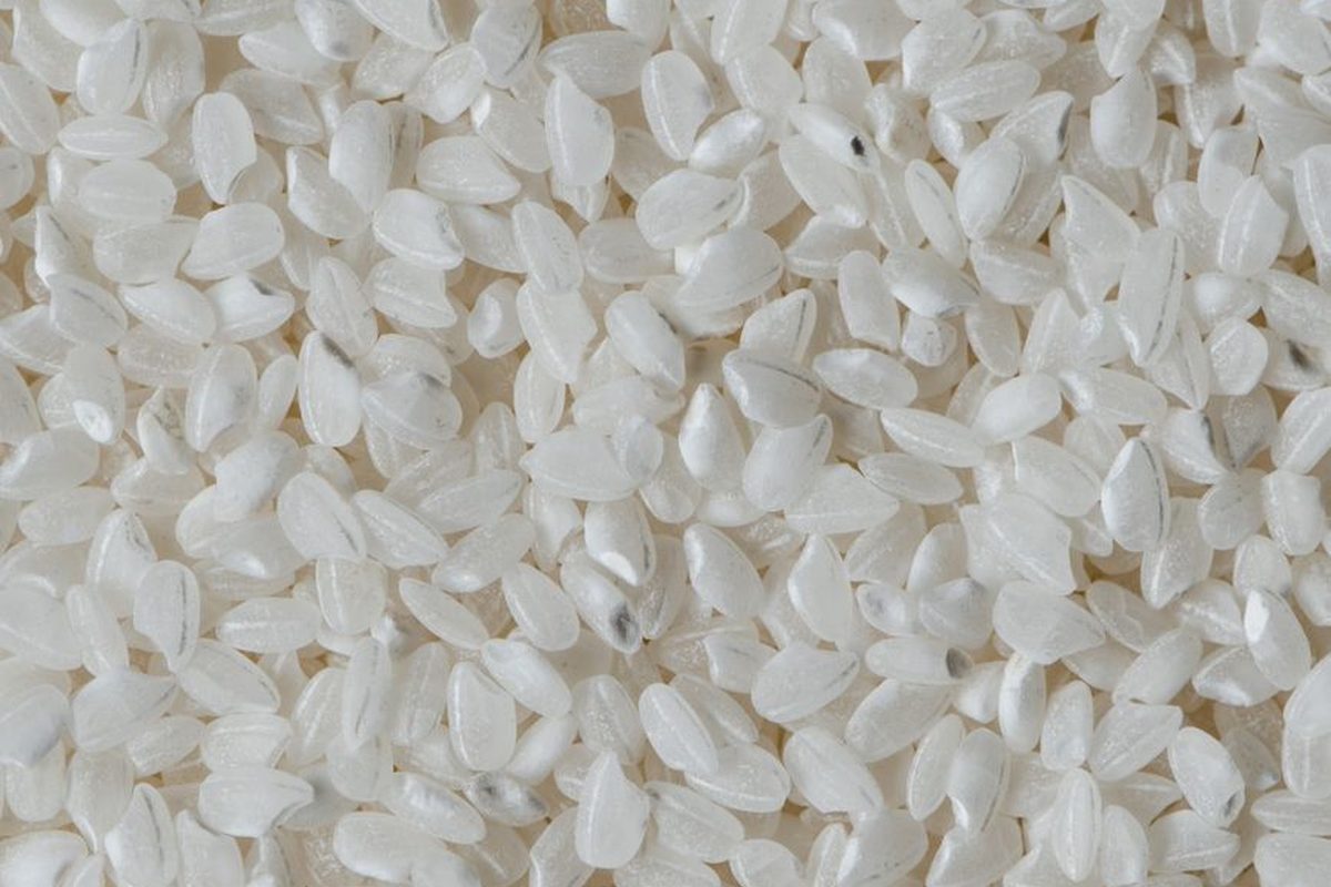 White rice