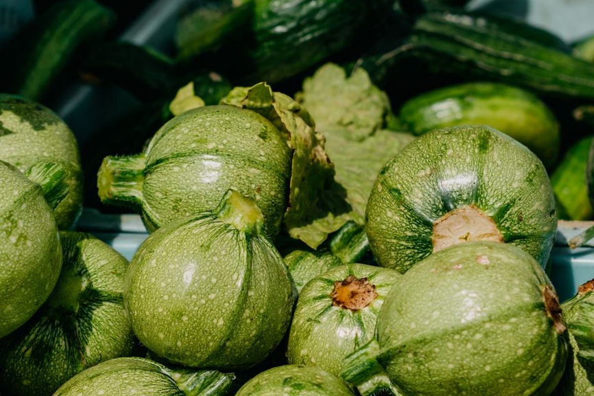 Zucchini